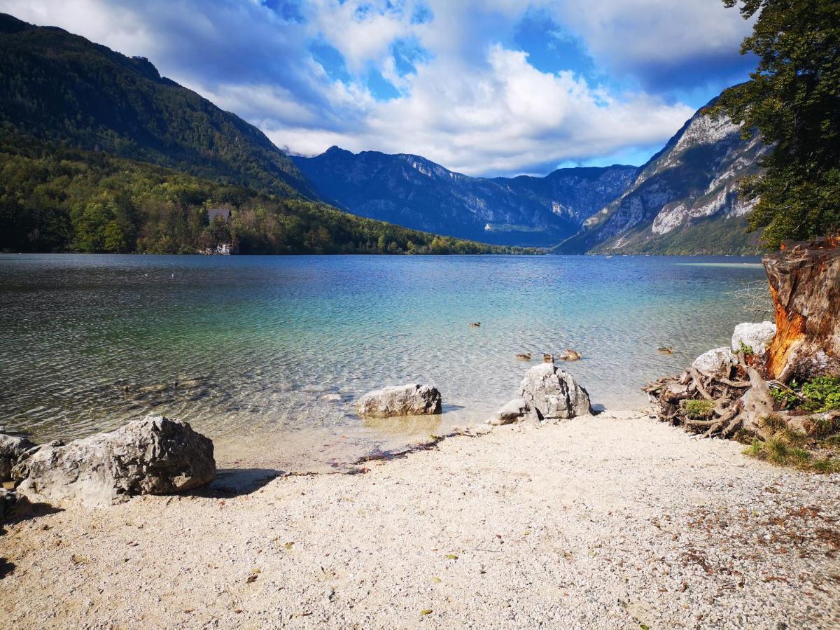 Apartmaji Prezelj Bohinj Exterior foto
