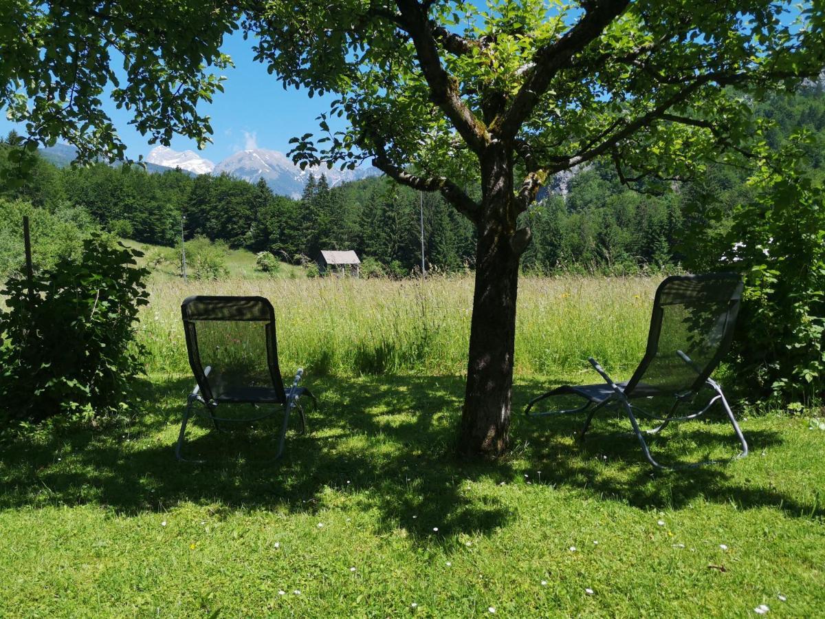 Apartmaji Prezelj Bohinj Exterior foto